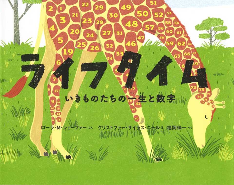 ライフタイム いきものたちの一生と数字の表紙